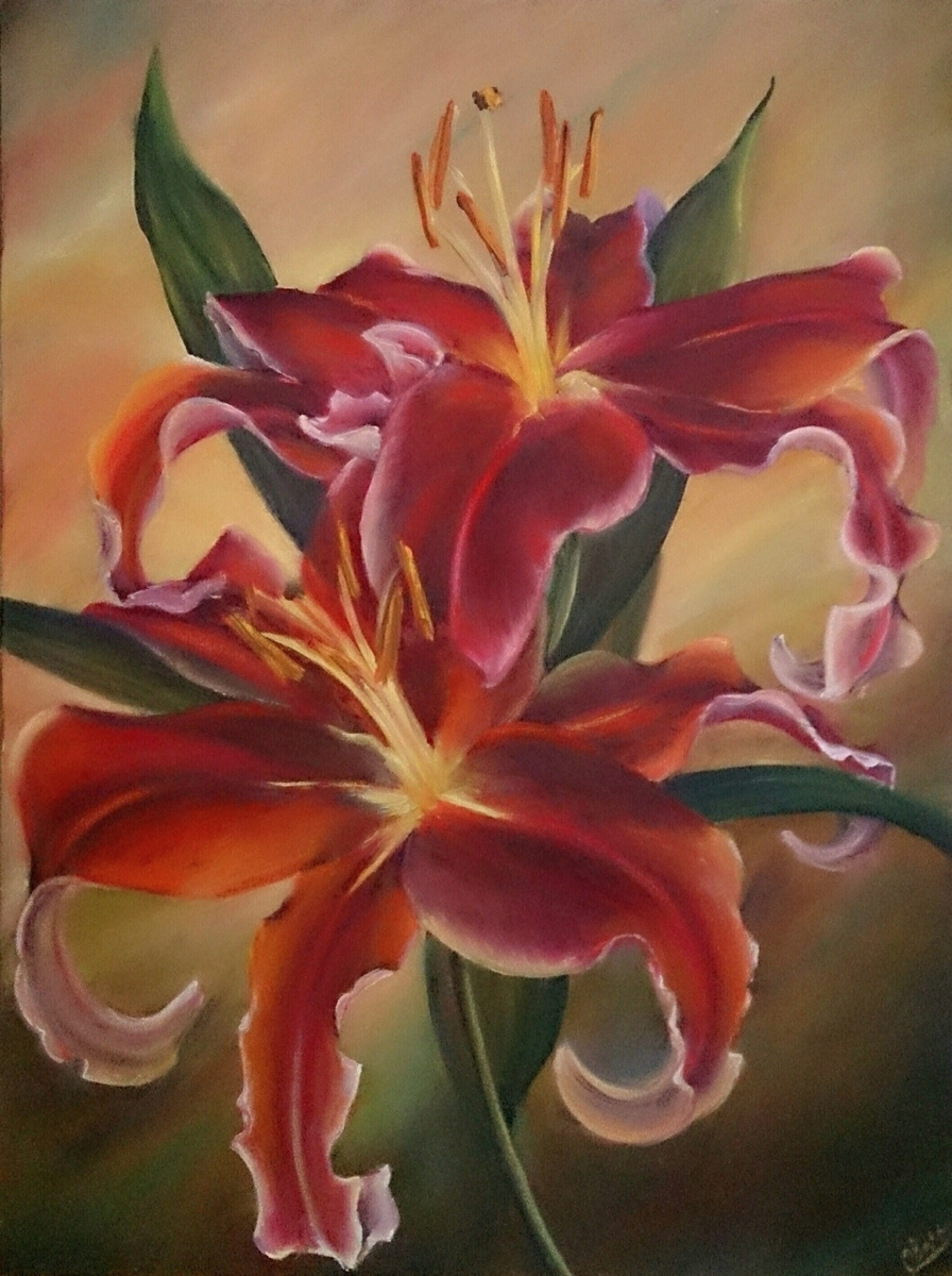 Zografos. Лилии