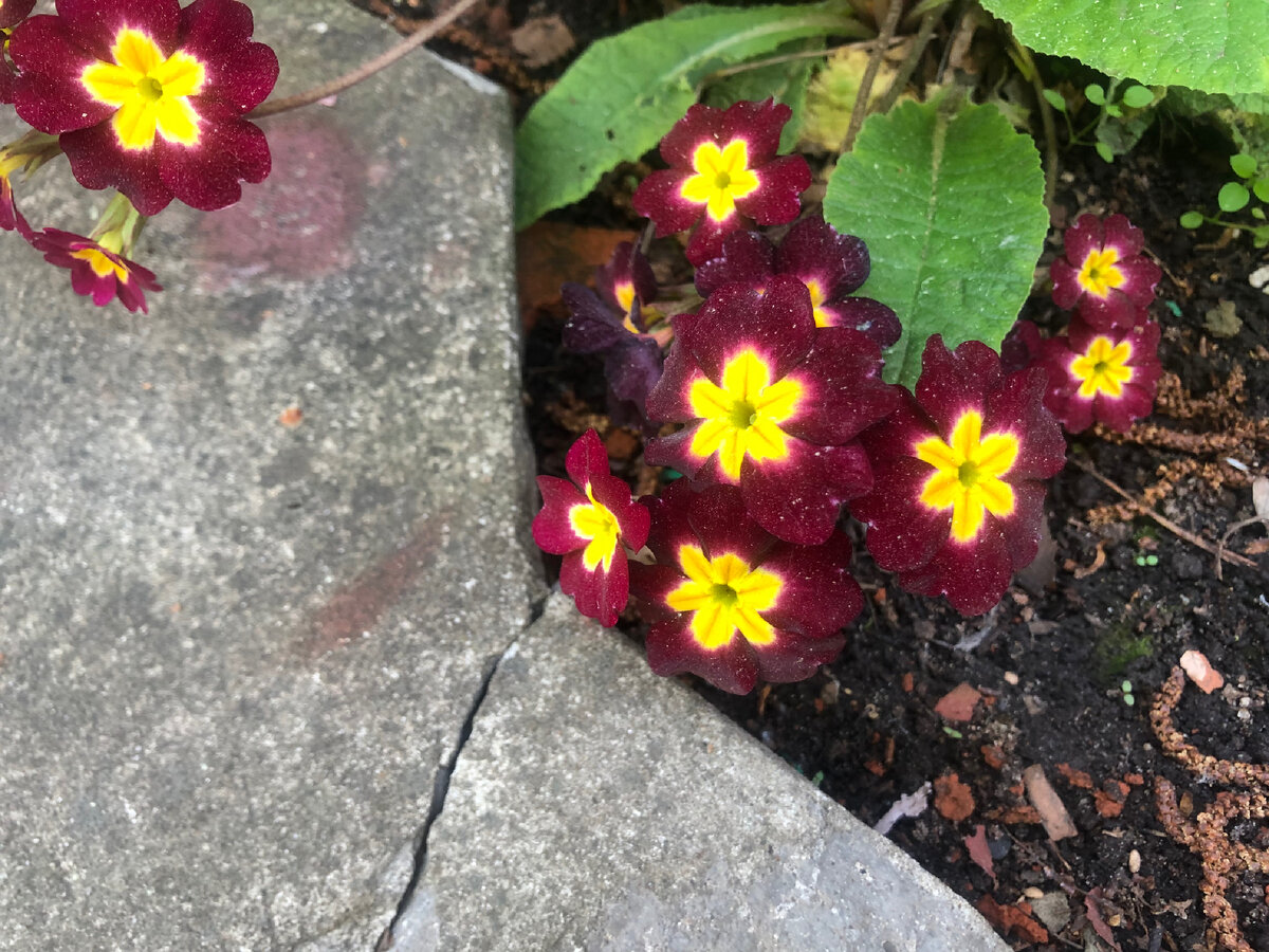 Личное фото 