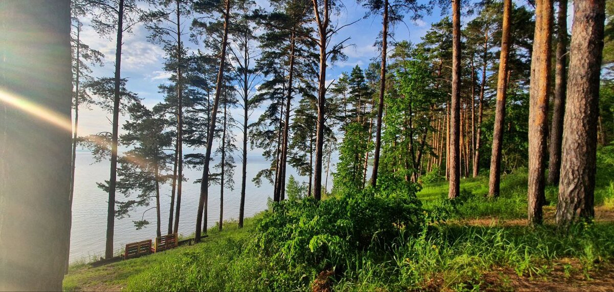 Парковая зона в Тольятти у реки Волги