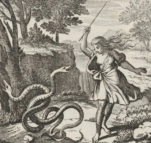Тиресий поражает палкой двух змей, и Гера превращает его в женщину. Гравюра Иоганна Ульриха Крауса, 1690 год.