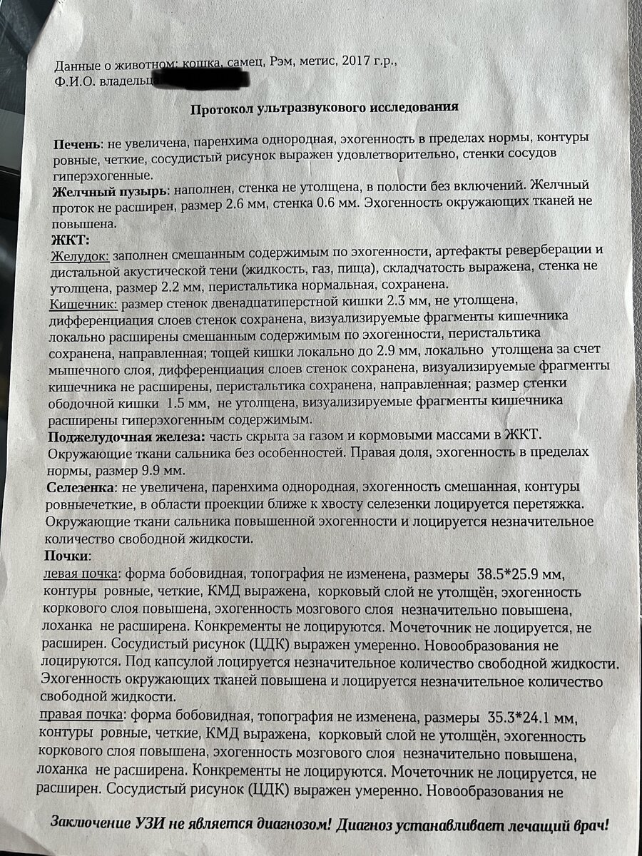 Покушение на убийство за ваш счет! Да, как вы поняли из заголовка, сегодня история из разряда треш.-6-2