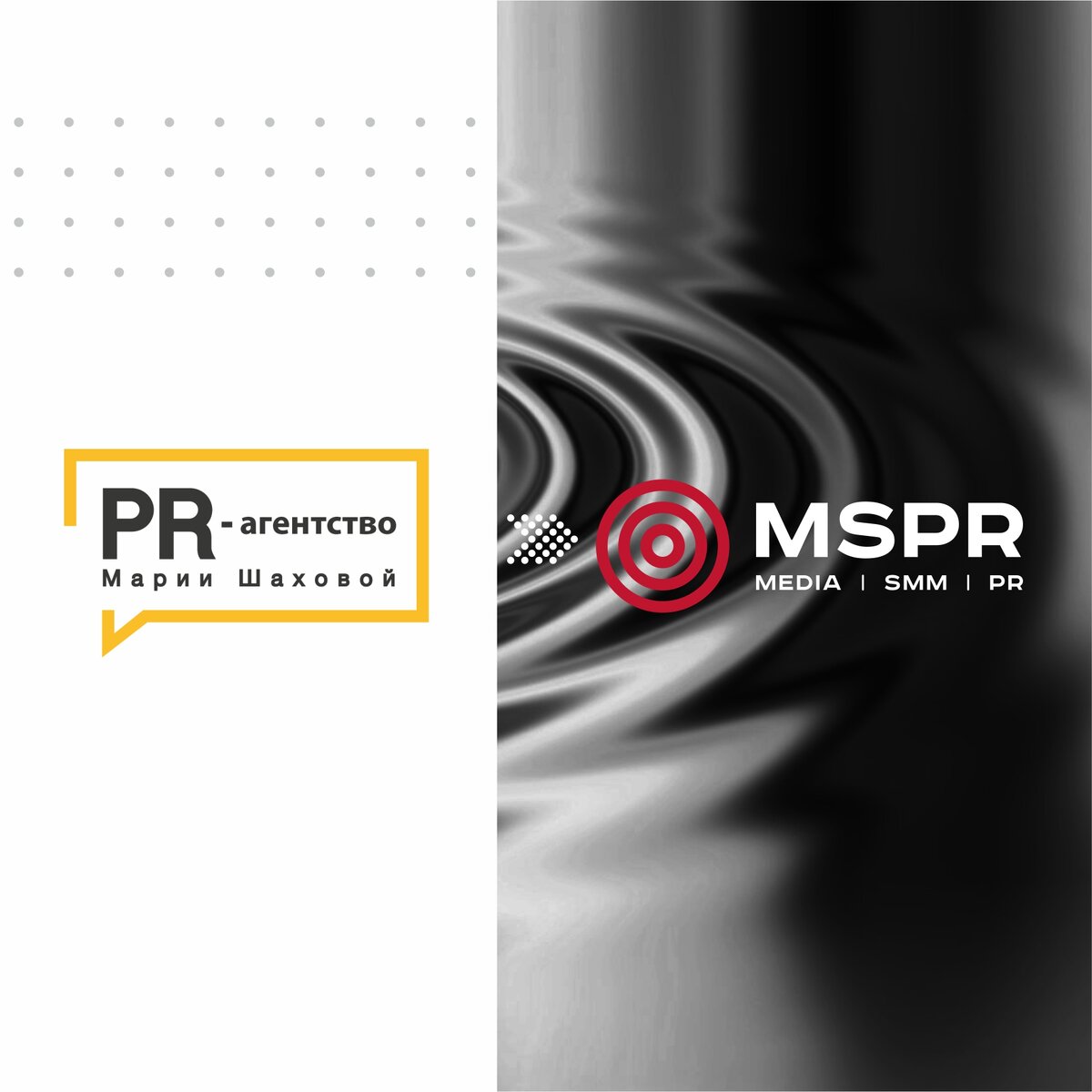 Новый логотип