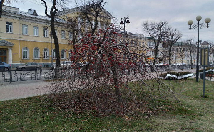    Куряне раскритиковали светодиодные инсталляции у памятника Георгию Свиридову