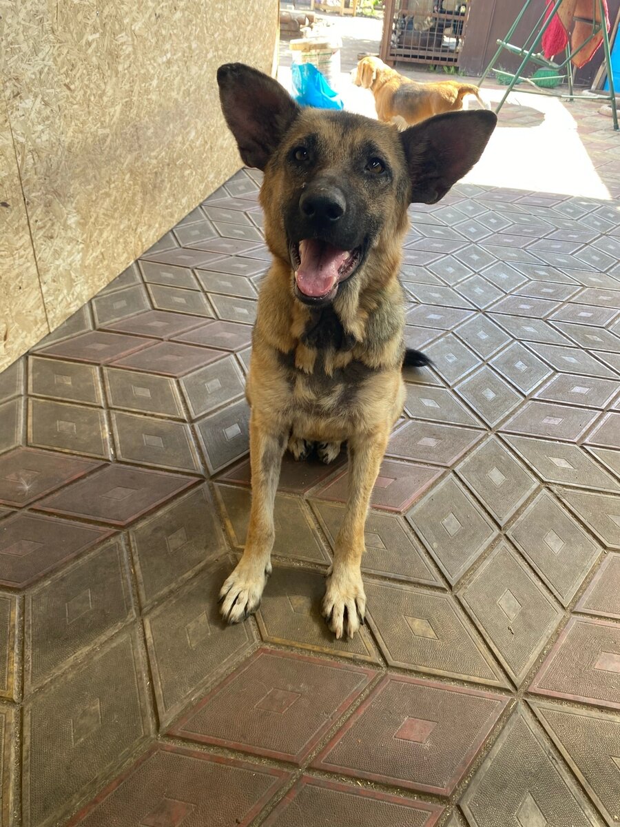 Так выглядела Герда неделю назад