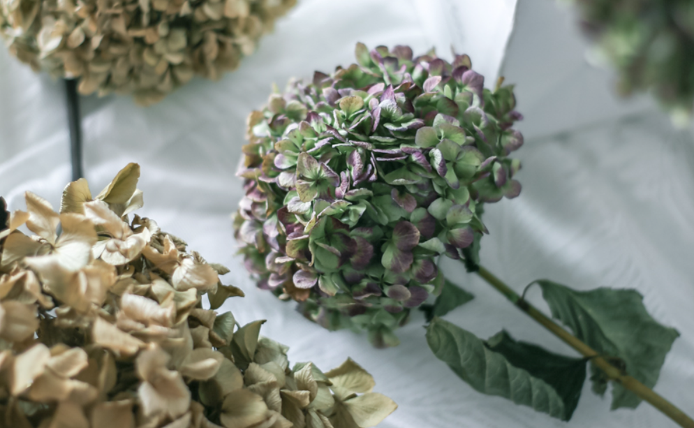 Источник фото - https://goo.su/eUZlSz