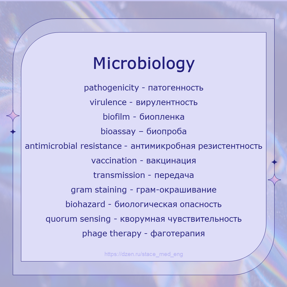 Предметы медвуза. Часть 7. Микробиология | Stace - Medical English | Дзен