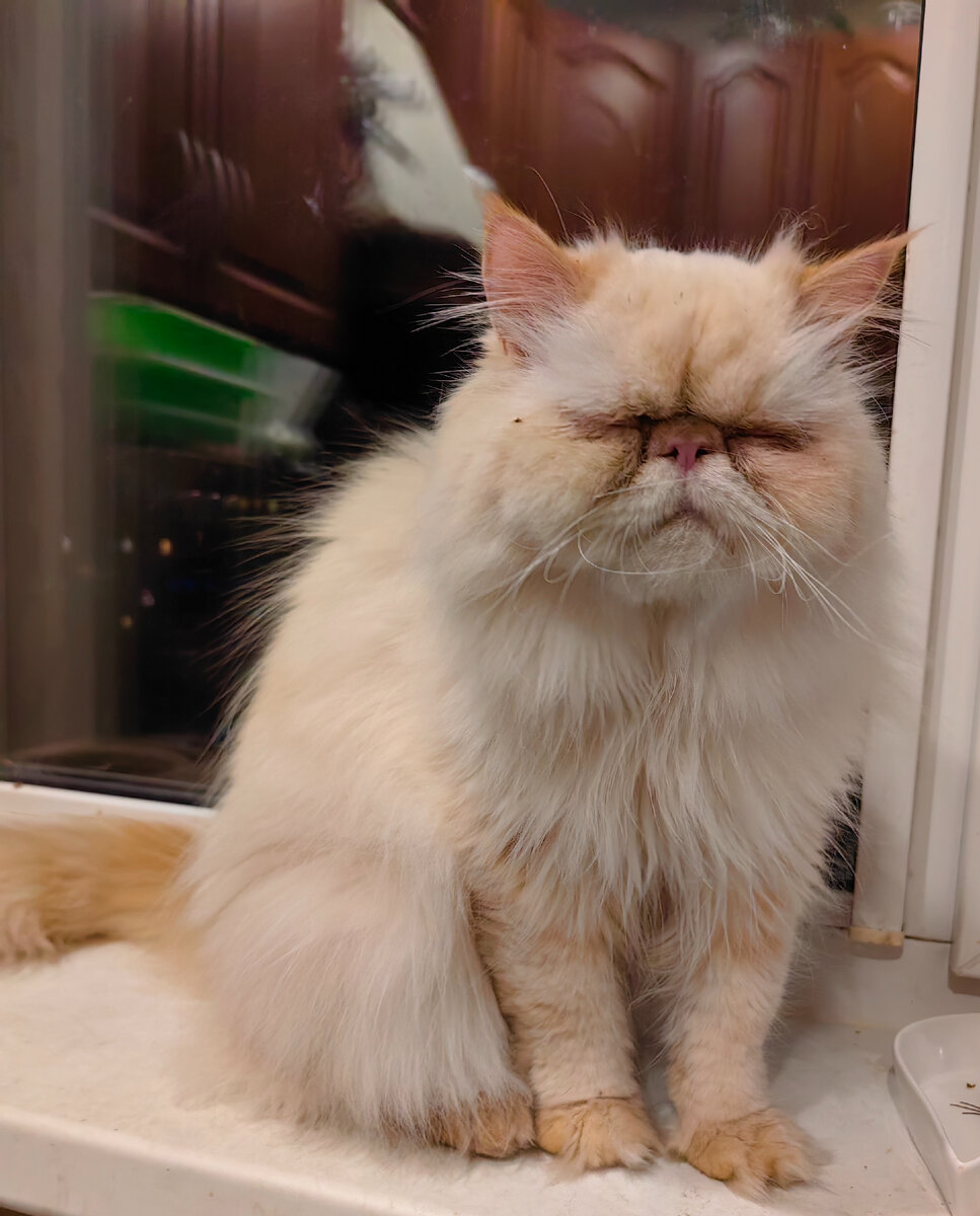 Вот такая я сонная была утром