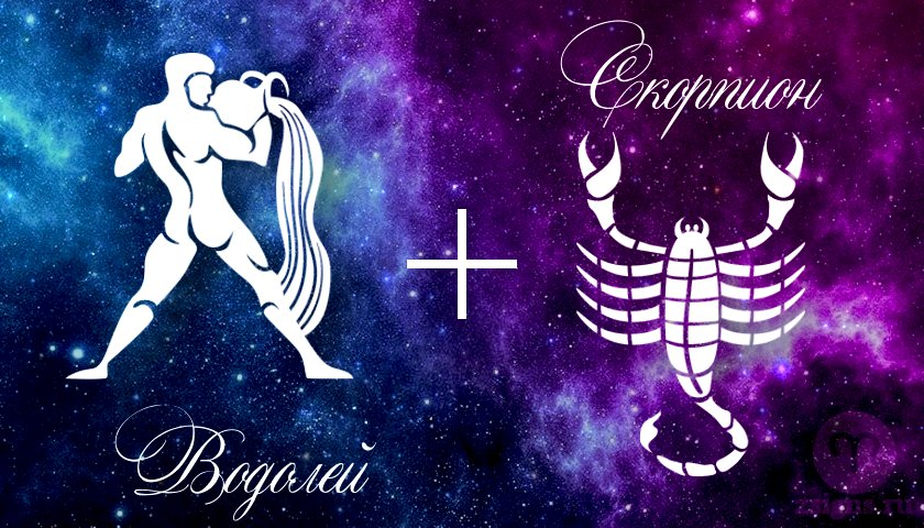 Скорпион подходят друг другу. Скорпион и Водолей. Знак зодиака Скорпион. Знаки зодиака. Водолей. Скорпион и Водолей знак зодиака.