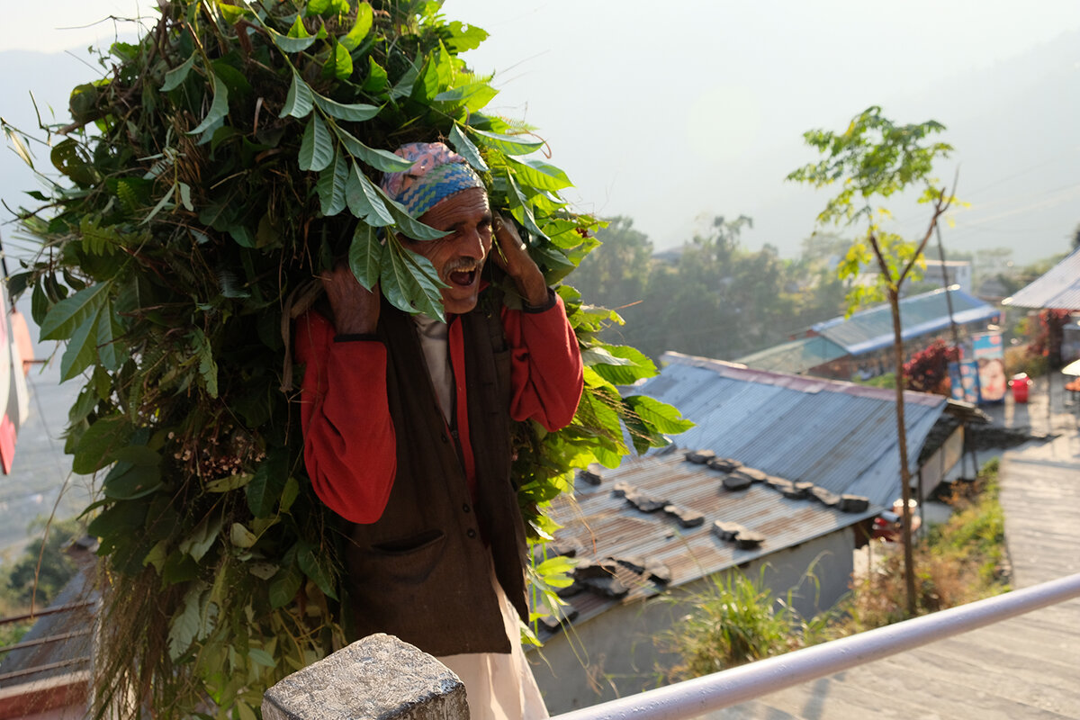 Мужчины и особенно женщины переносят на своем "горбу" невероятного веса груз.