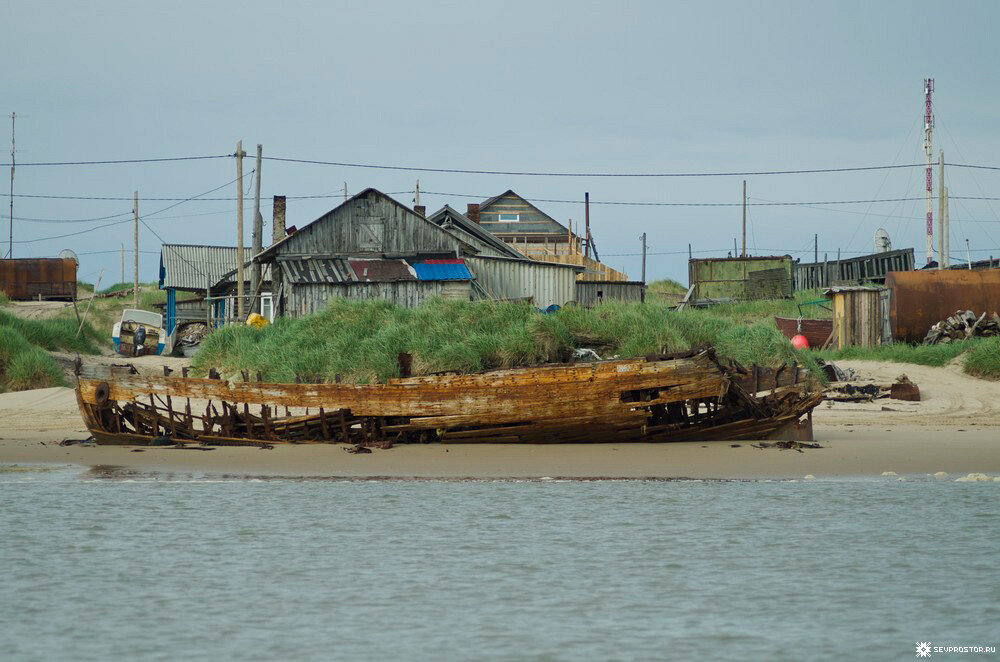 Деревня шойна на белом море фото