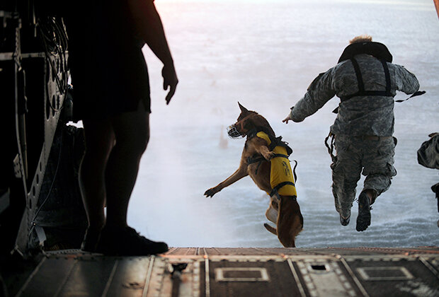 Американский спецназовец десантируется со служебной собакой