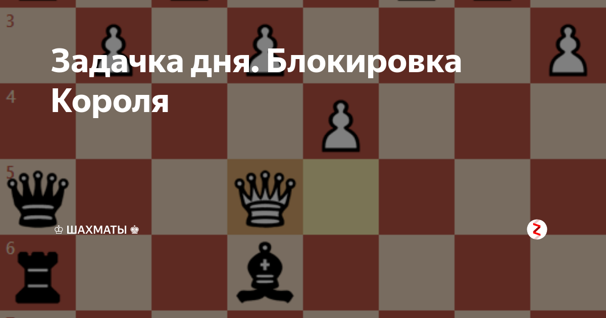 Шахматы расстановка ферзь. Ферзь на шахматном поле. В шахматах король любит свой цвет. Сколько на сколько шахматная доска. Король или ферзь любит свой цвет в шахматах.