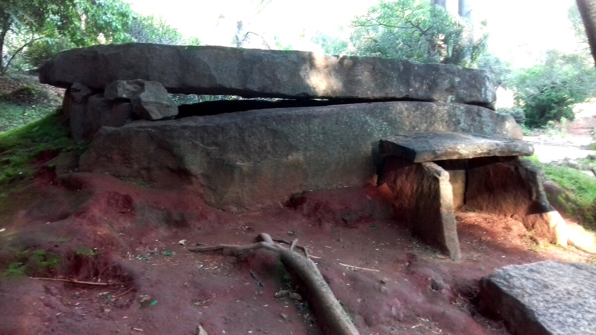 Фото: Артем Андриянов