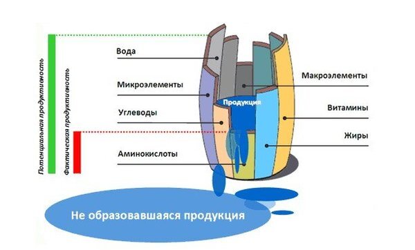 Спермограмма и MAR-тест (эякулят)