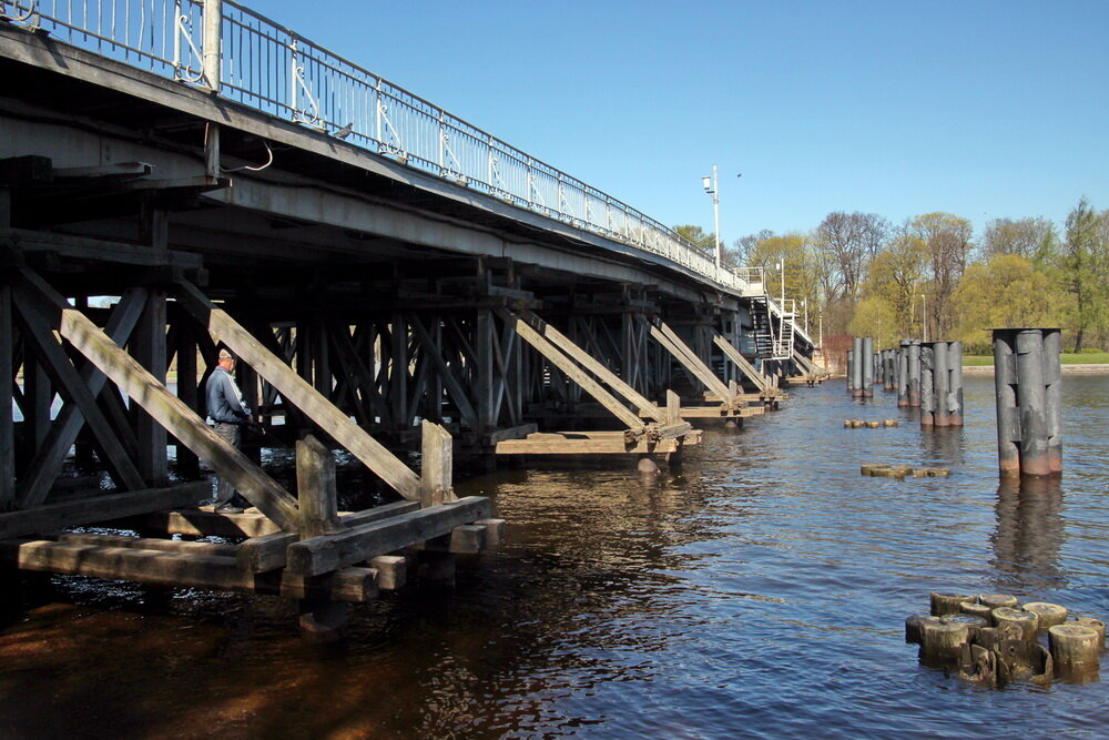 Май 2016 года. Фото Дмитрия Ратникова
