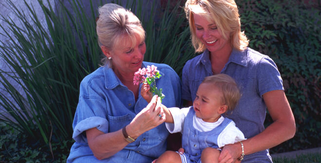 фотография с сайта http://cdn01.ru                                                                                                                                                                   