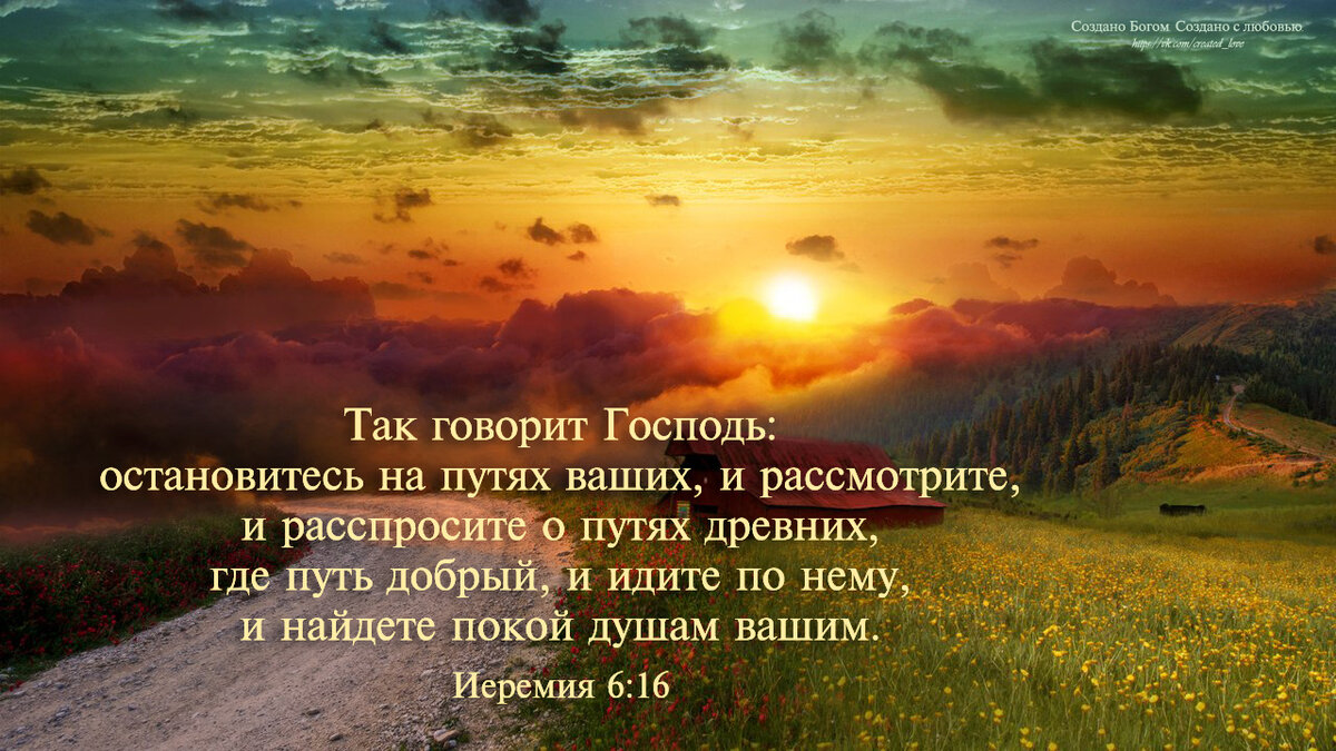 Где твой путь. Так говорит Господь остановитесь на путях. Красивые места из Библии. Цитаты из Библии благословения. Место из Библии о благословении.