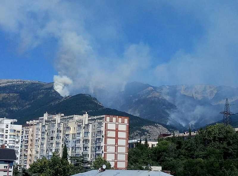 Фото: Виктор Ямников/группа «Доска позора Ялты» в Facebook