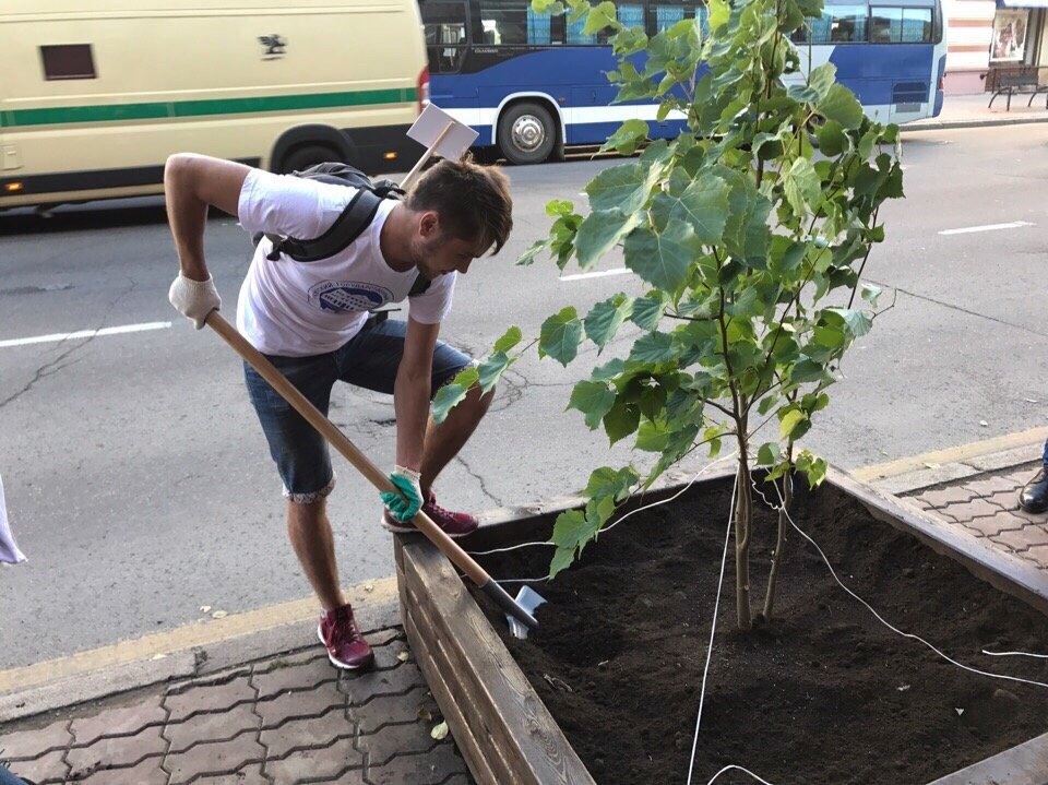 Вчера, 28 августа, в Иркутске состоялась масштабная акция «Мой зеленый город». Общественные, молодежные, спортивные организации, предприниматели и чиновники, представители ТОСов, культурных центров и СМИ собрались, чтобы высадить в городе новые деревья. И посадили порядка 500 деревьев.