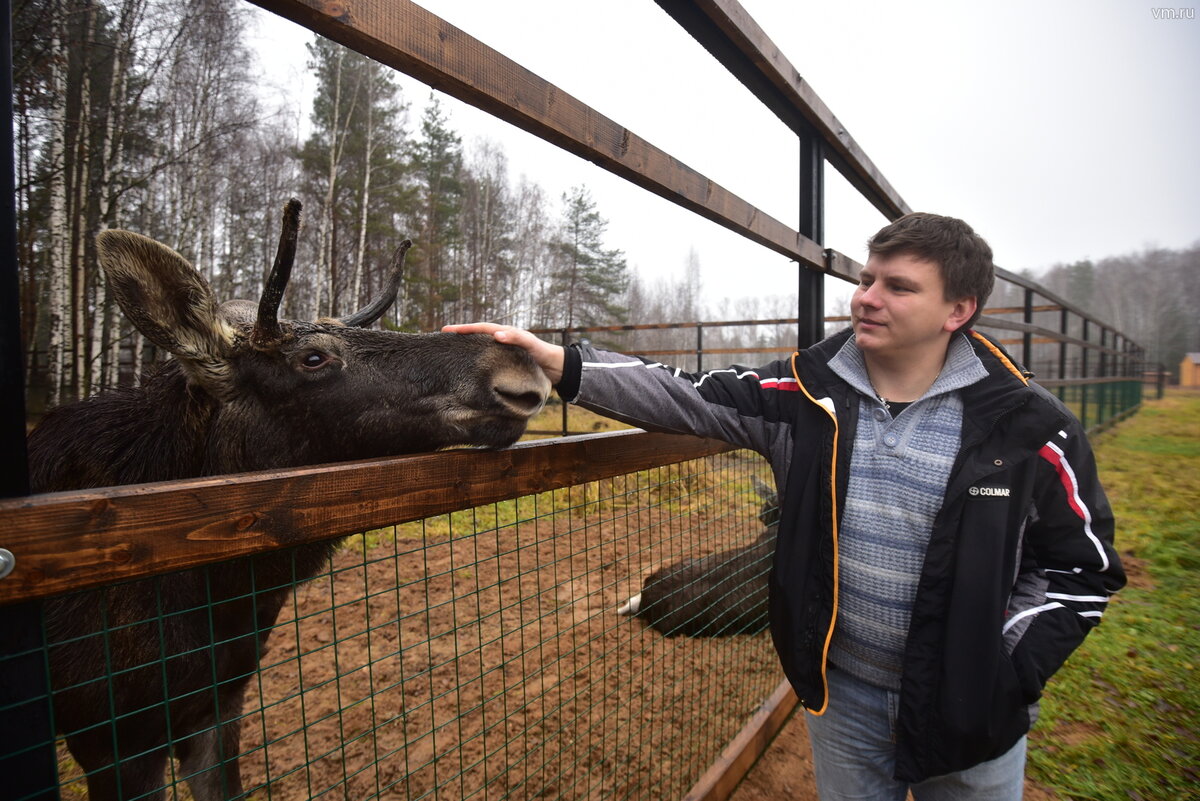 Фото: Антон Гердо, "Вечерняя Москва" 