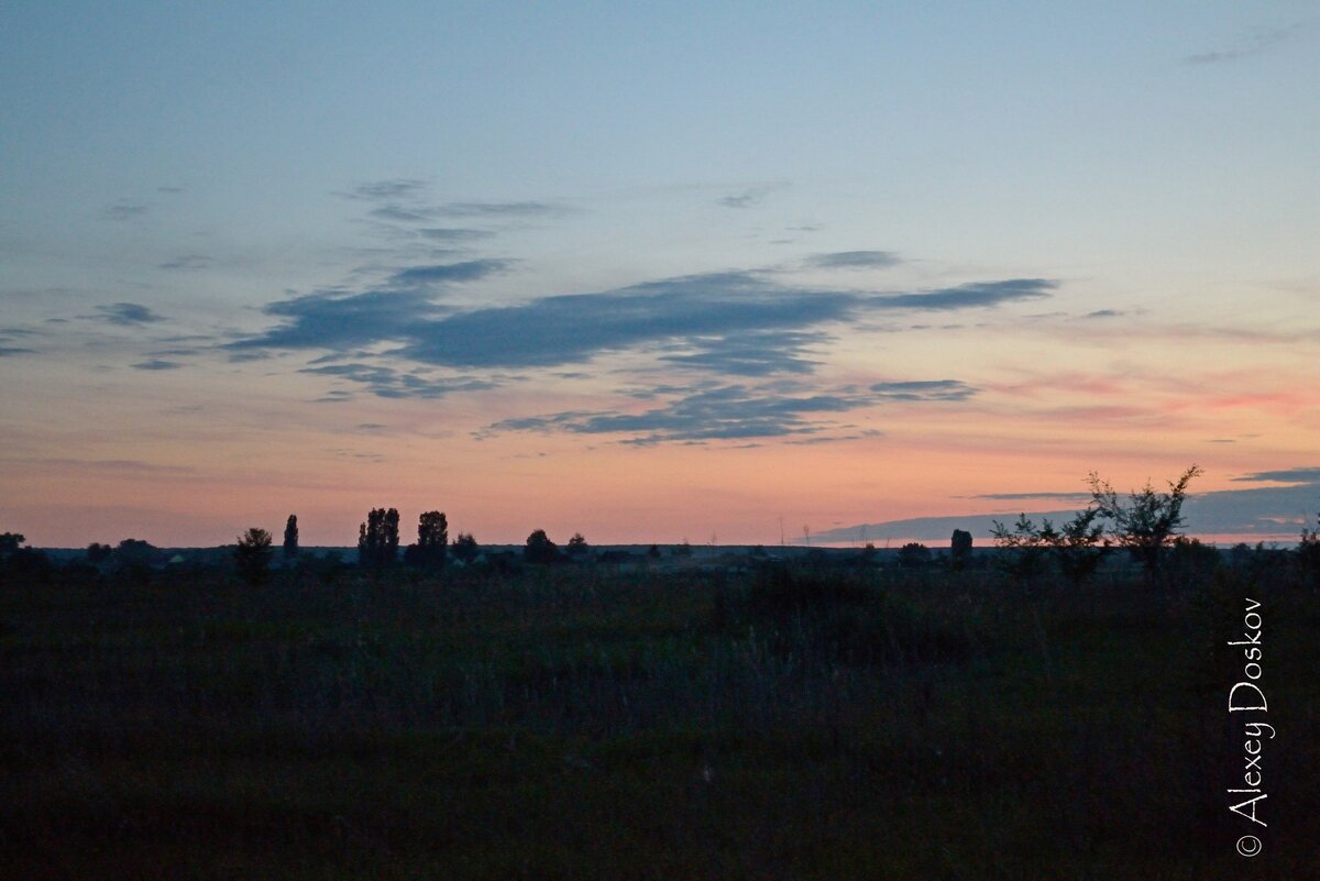 Борисоглебск. Природа | Моя Саратовская жизнь | Дзен