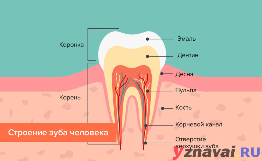 Боль в деснах: причины, профилактика и рекомендации по лечению