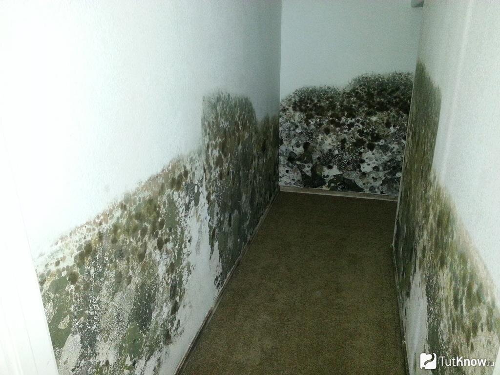 Крупные трещины на стенах и потолке