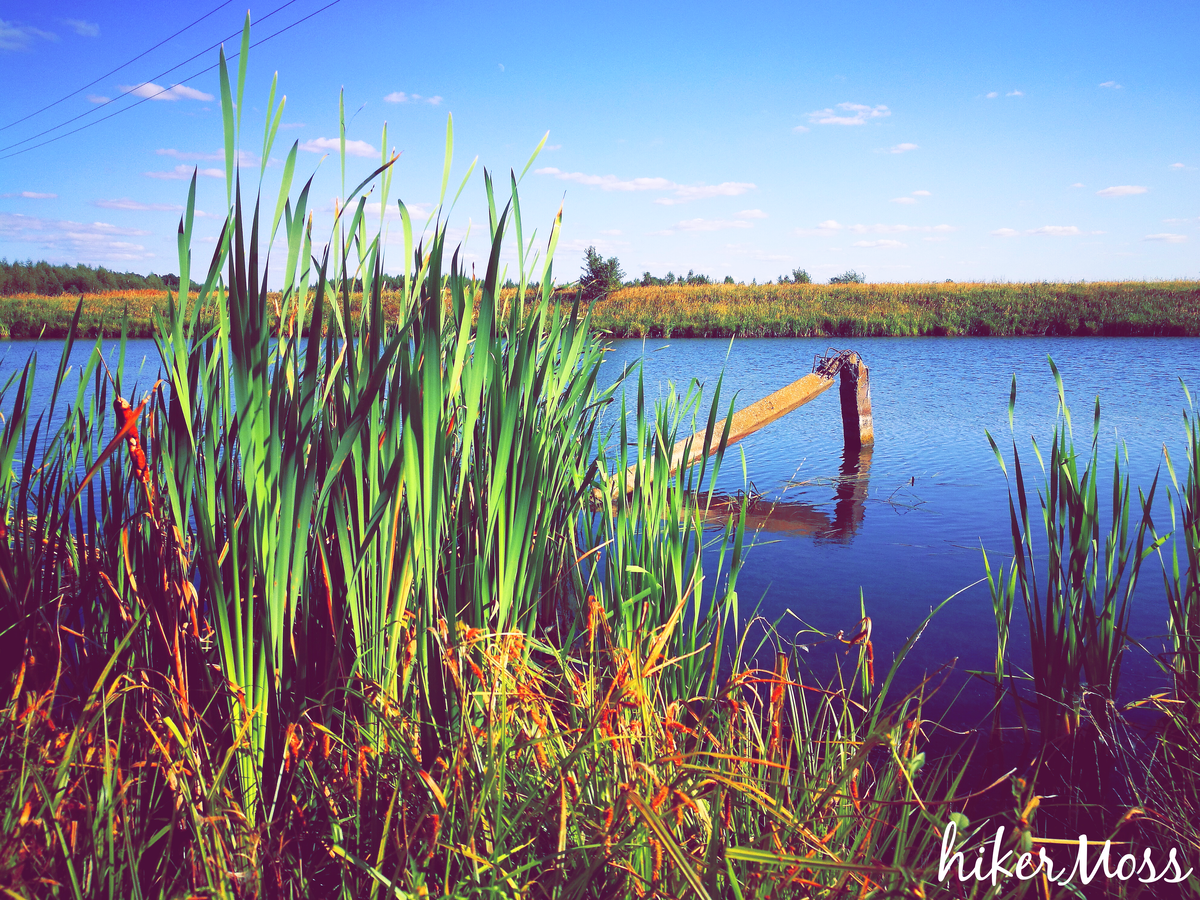 У дорог рязанской области 