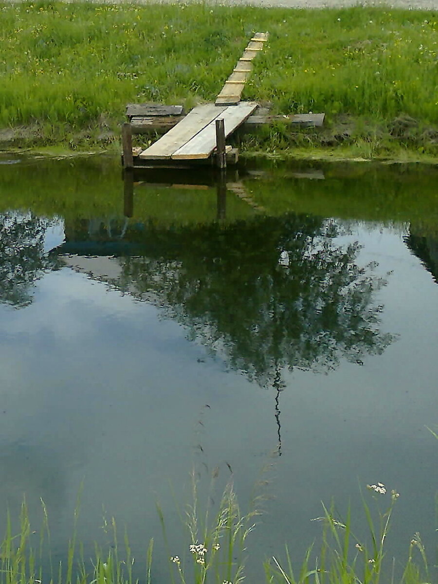 Таежка 8 дзен. Таежка 8 дзен. Таежка 8 дзен. Изделия из можжевельника своими руками. Таежка 8 дзен.