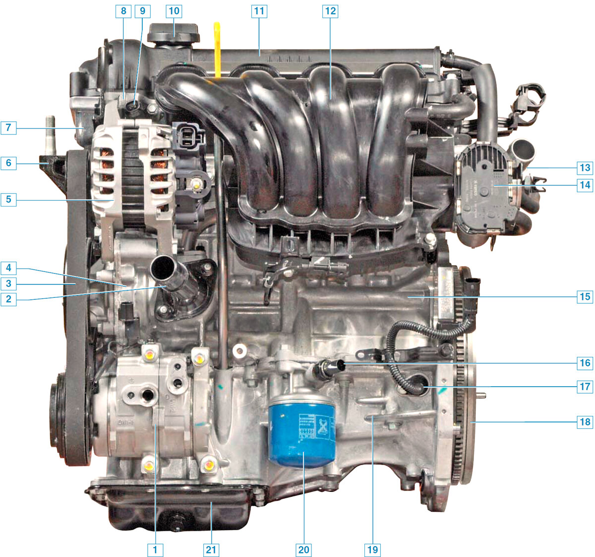 .Двигатель (вид спереди по направлению движения автомобиля): 1 – компрессор кондиционера; 2 – крышка термостата; 3 – ремень привода вспомогательных агрегатов; 4 – насос охлаждающей жидкости; 5 – генератор; 6 – кронштейн правой опоры силового агрегата; 7 – крышка привода газораспределительного механизма; 8 – головка блока цилиндров; 9 – клапан системы изменения фаз газораспределения; 10 – крышка маслозаливной горловины; 11 – крышка головки блока цилиндров; 12 – впускной трубопровод; 13 – выпускной патрубок системы охлаждения; 14 – блок управления дроссельного узла; 15 – блок цилиндров; 16 – датчик сигнализатора недостаточного давления масла; 17 – датчик положения коленчатого вала; 18 – маховик; 19 – поддон картера; 20 – масляный фильтр; 21 – крышка поддона картера.