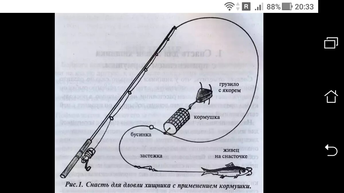 За окунем с фидером