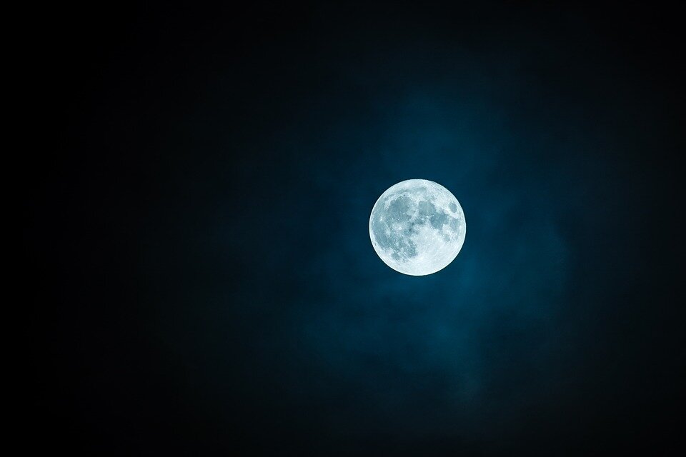 фото с сайта pixabay.com 