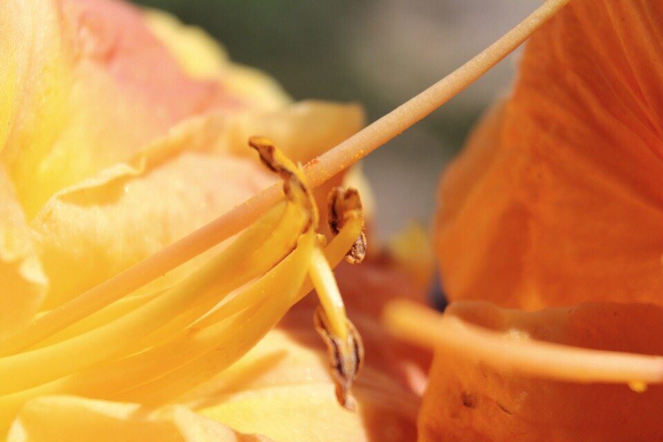 фотограф @shlu_lu