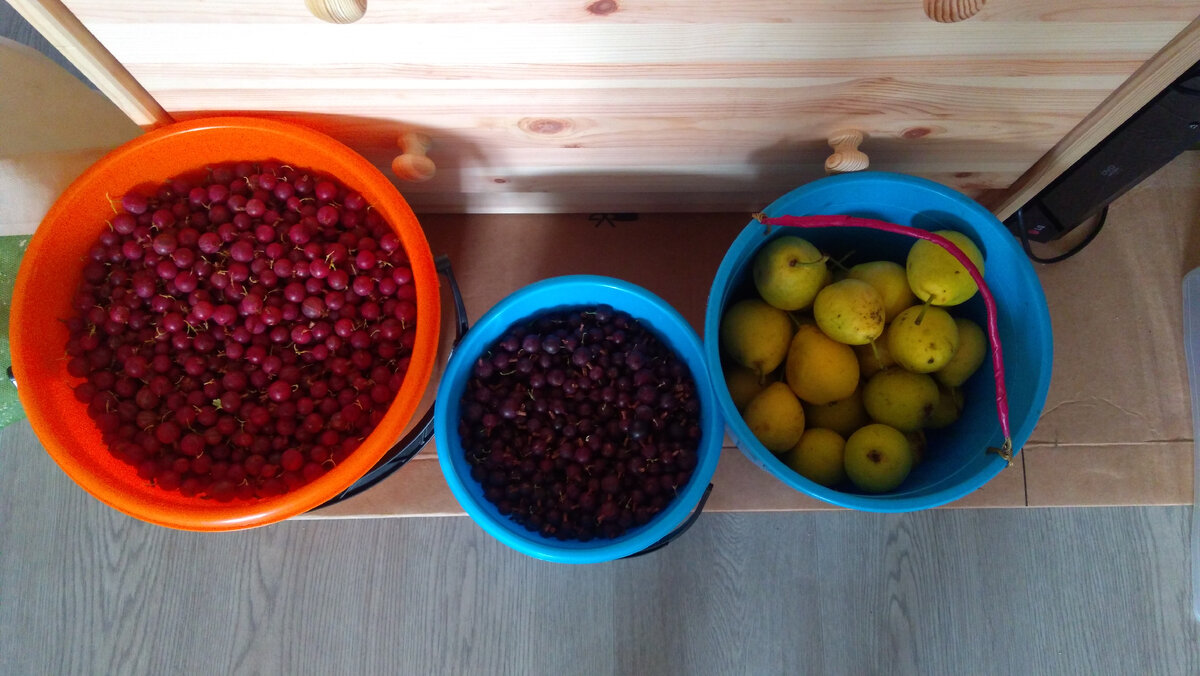 Источник: фото автора