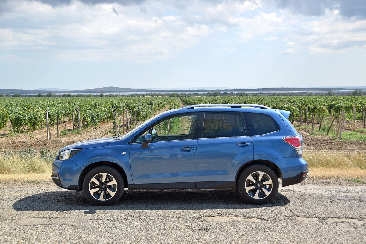 НА SUBARU FORESTER К АЗОВСКОМУ МОРЮ | АВТОТУРИСТ | Дзен