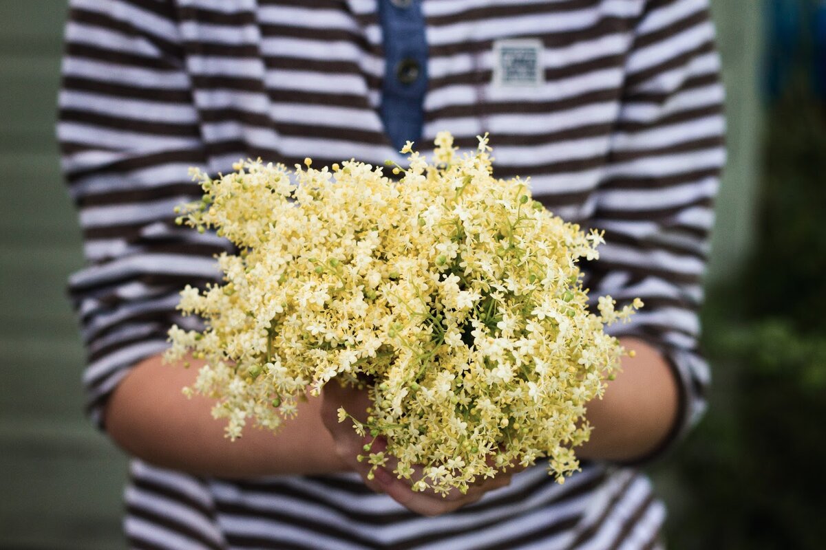 https://www.firestock.ru/tsvetyi-v-rukah-flowers-in-hands-2/