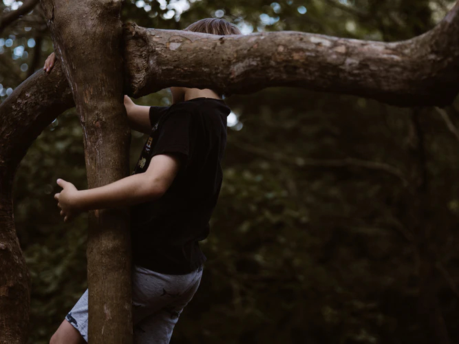 https://images.unsplash.com/photo-1565964227201-2f40e978381b?ixlib=rb-1.2.1&ixid=eyJhcHBfaWQiOjEyMDd9&auto=format&fit=crop&w=667&q=80