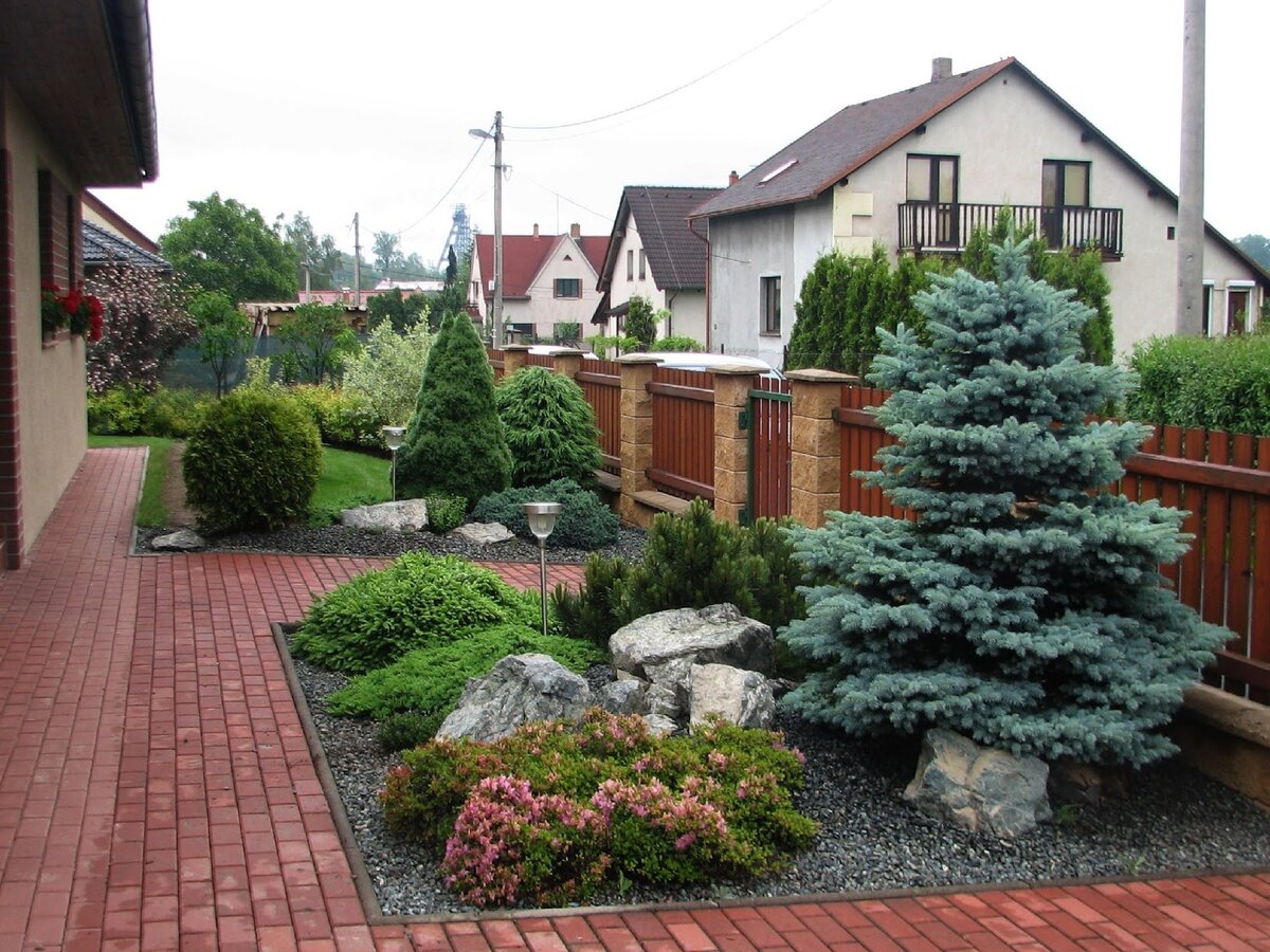 Хвойные в оформлении входной зоны. Источник фото: Яндекс картинки.