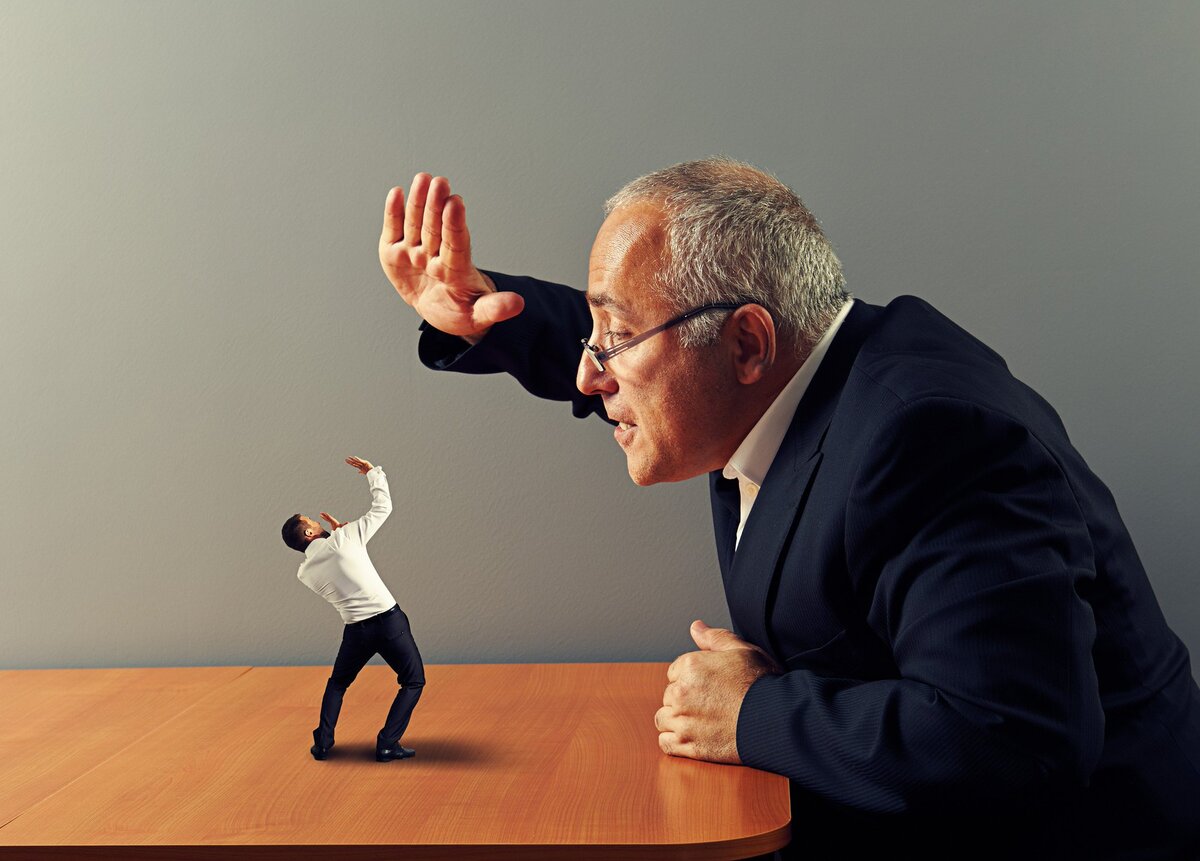 картинка из интернета