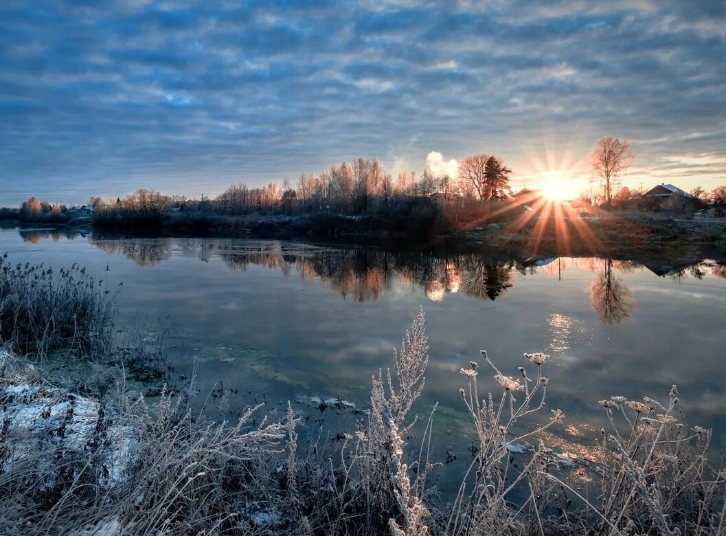 Первые заморозки