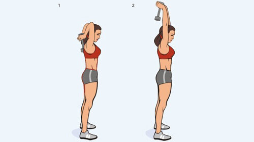 1.  Встаем ровно, ноги на ширине плеч, в руках держим гантели, затем  поднимаем руки вверх, сгибаем их в локтях и заводим за спину гантели,  снова поднимаем руки. Делаем 3 подхода по 20 раз. Совет: данное  упражнение можно выполнять сидя на стуле.