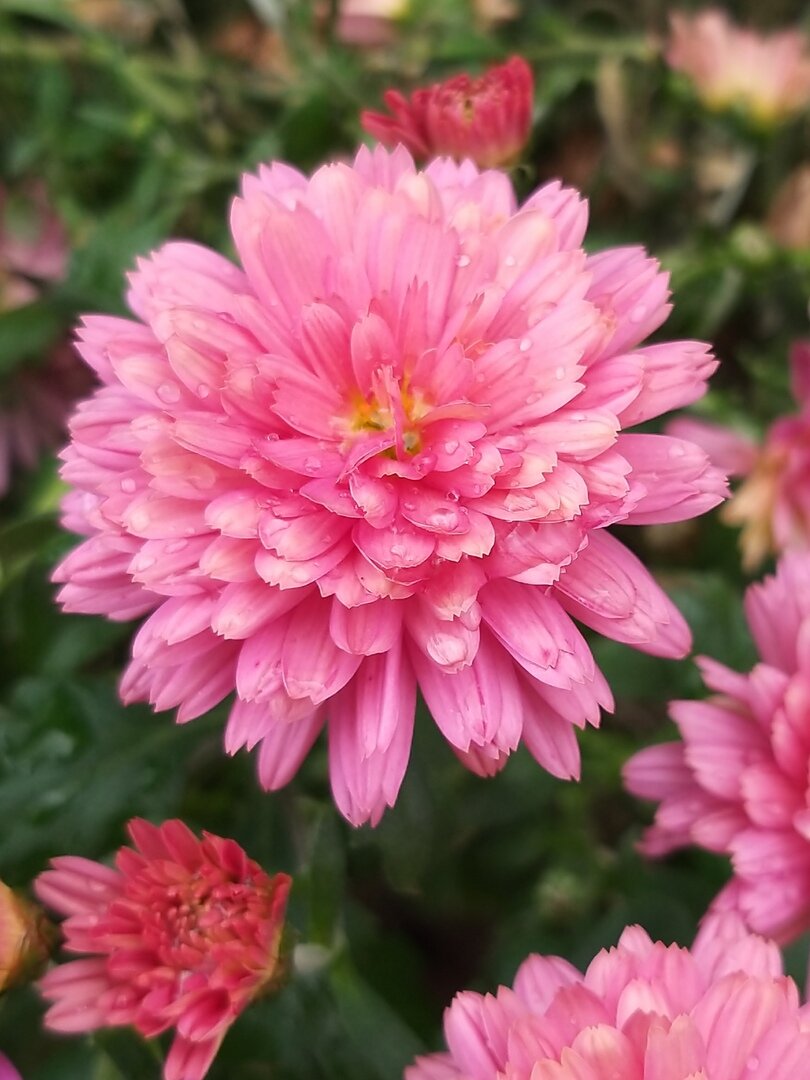 Фото автора статьи