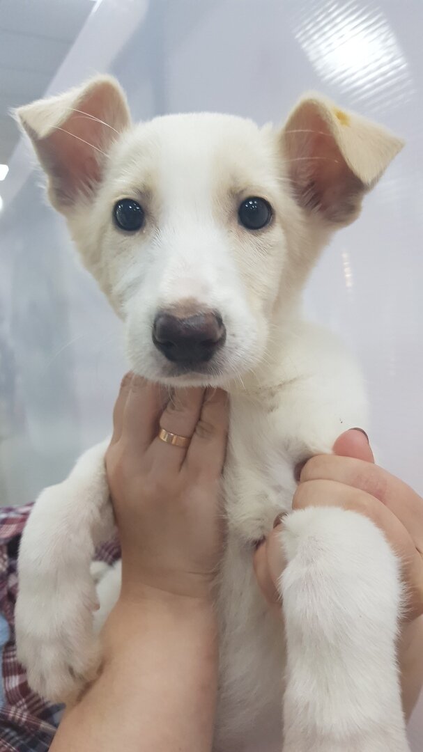 Умочка, красивая и несчастливая?