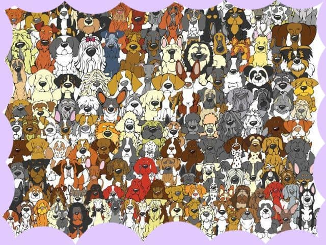 Картинка взята из общего доступа