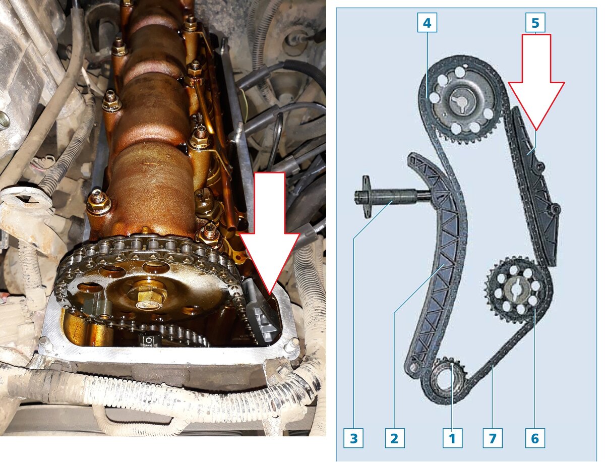 Цепь грм двигатель. Цепь ГРМ Нива Шевроле. ВАЗ 21214 метки цепи. Успокоитель цепи Нива Шевроле. Нива Шевроле 21213 успокоитель.