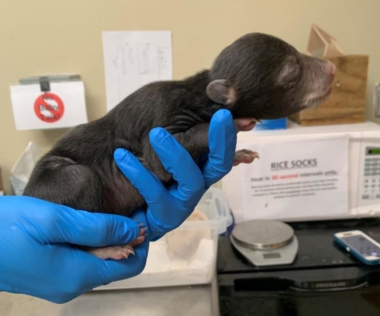 Источник: https://ukr.media