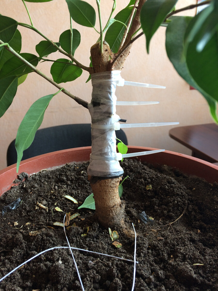 хомуты очень хорошо подходят для стяжки