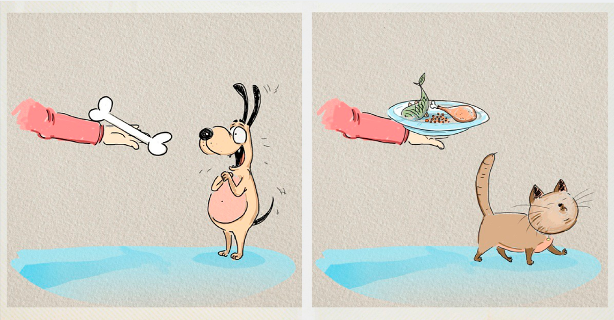 собаки против кошек карикатуры. смешные отличия. собаки лучше котов. разница между кошкой и собакой. разница между кошкой и собакой.