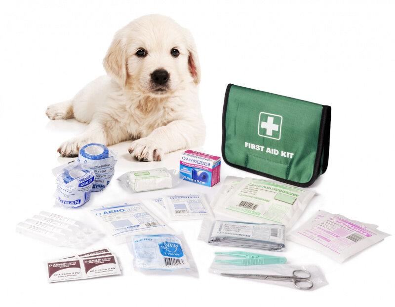 Фото из сети