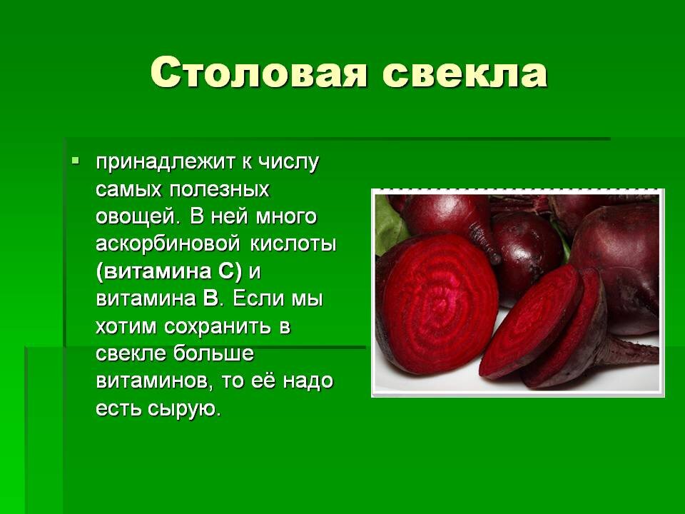 Чем полезна свекла. Витамины содержащиеся в свекле. Полезные витамины в свекле. Свекла принадлежит к числу самых полезных овощей. Что такое свекла кратко.